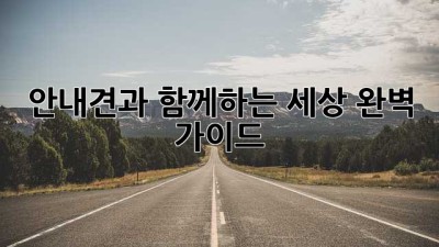 안내견과 함께하는 세상: 완벽 가이드